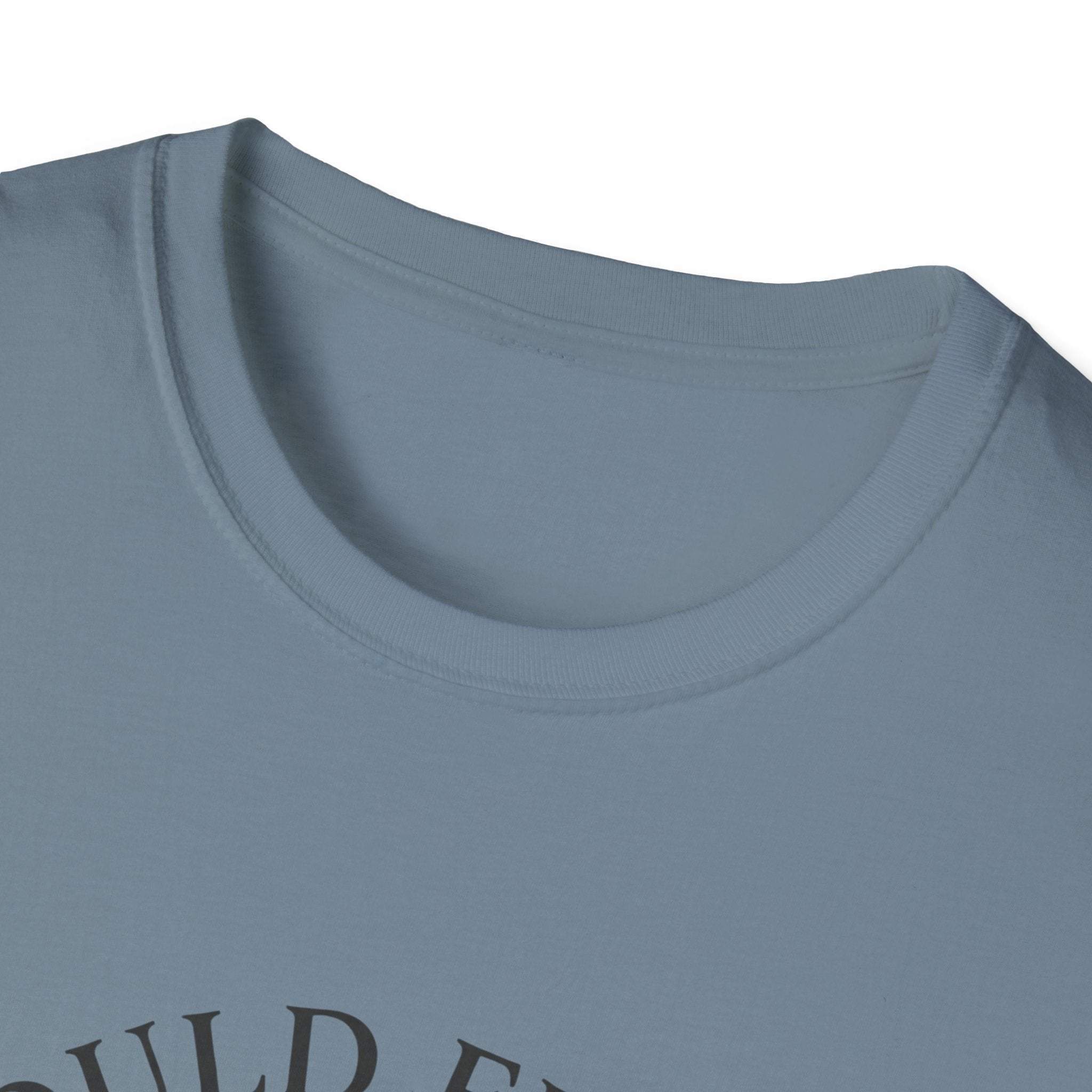 I Could Fix Him But I Won't T-Shirt